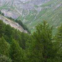 Jorasse