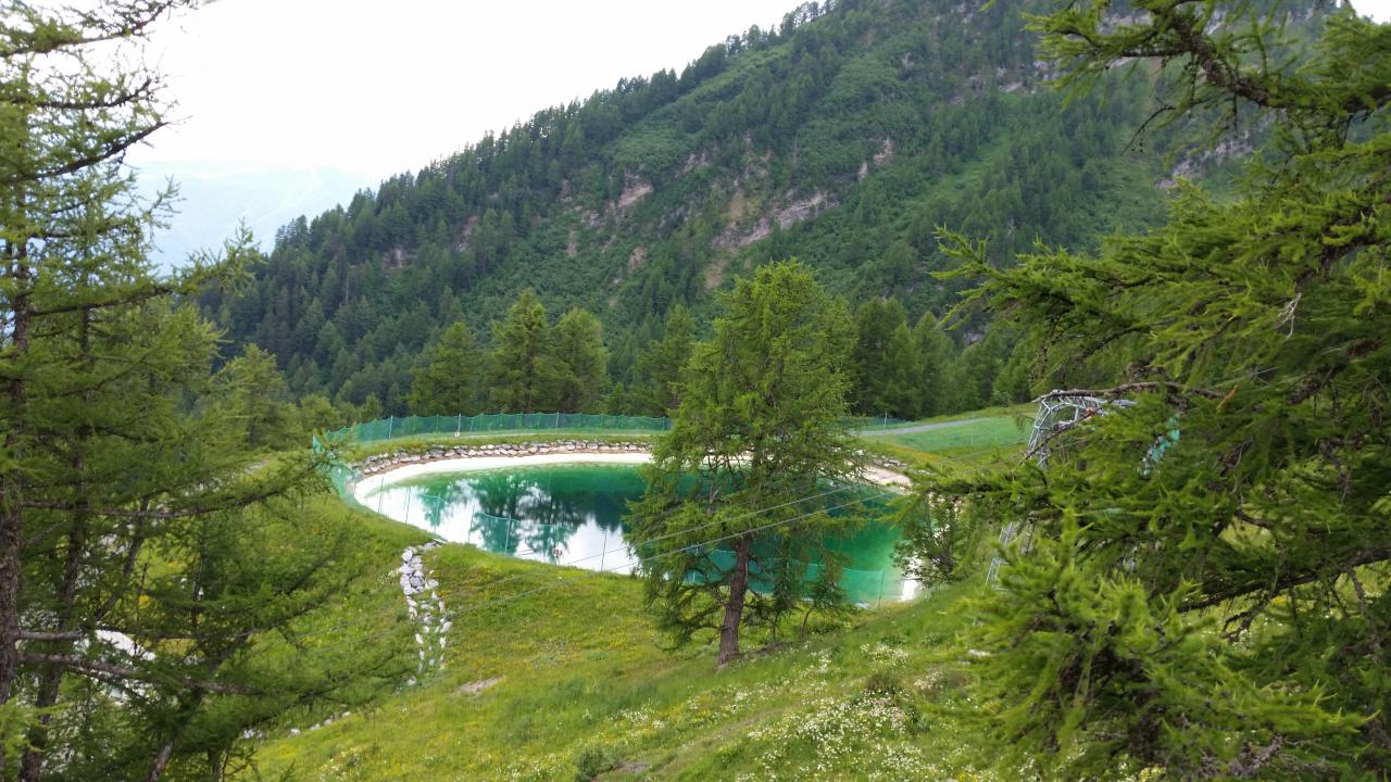 Jorasse