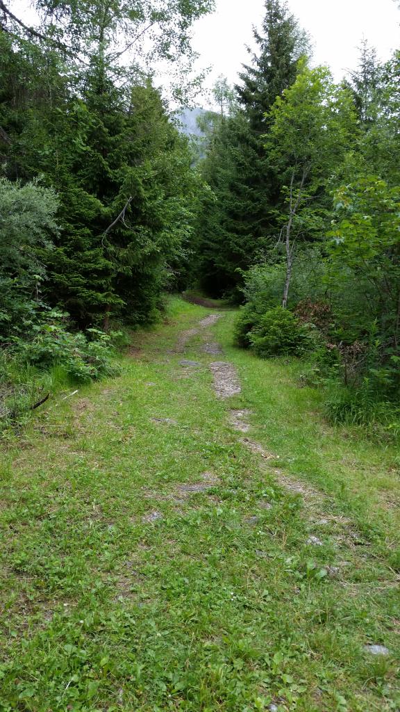 Sentier des Poussettes, 2014