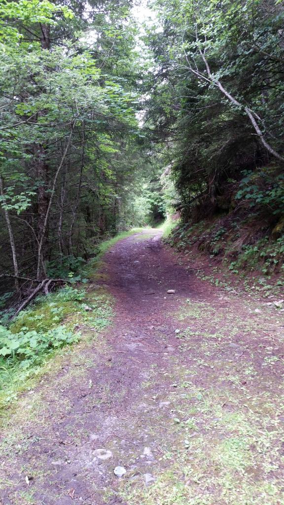 Sentier des Poussettes, 2014