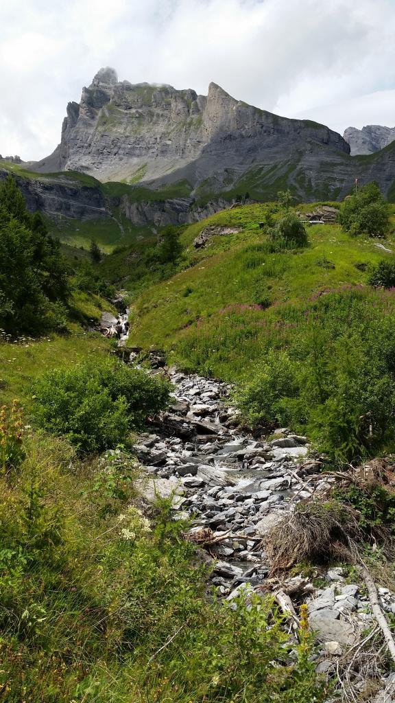 Jorasse - Ovronnaz par Saille