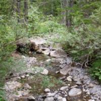 20150726_122536 - Copie