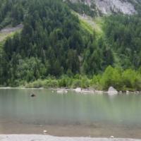20150726_122957 - Copie