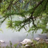 20150726_123237 - Copie