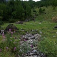 20150726_123922 - Copie