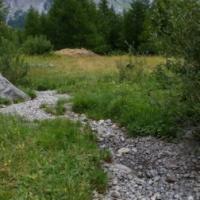 20150726_123937 - Copie