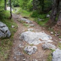 20150726_124207 - Copie