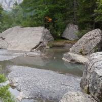 20150726_142129 - Copie
