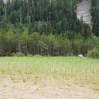 20150726_143033 - Copie