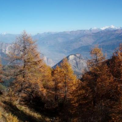 La région